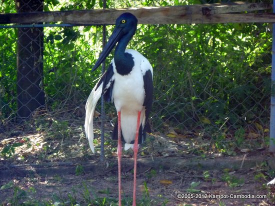 Kampot Zoo.  Kampot, Cambodia.