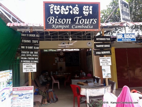 Bison Tours in Kampot, Cambodia.