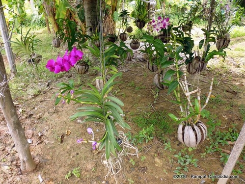 Phoum Rumduol Bungalows in Kampot, Cambodia.