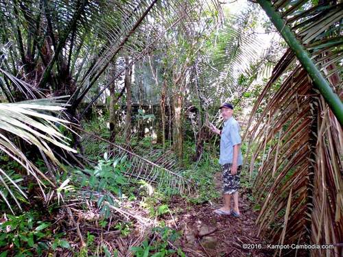 Kampot Survival Guide Historical Tours of Kampot and Bokor Mountain, Cambodia.