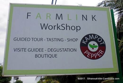 Farmlink Workshop Pepper Plantation and Kadode Pepper in Kampot, Cambodia.