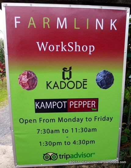 Farmlink Workshop Pepper Plantation and Kadode Pepper in Kampot, Cambodia.