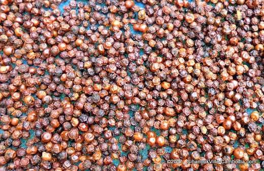 Kampot Pepper.  Kampot, Cambodia