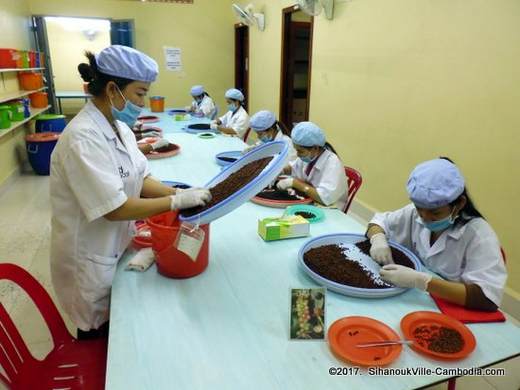 Farmlink Workshop Pepper Plantation and Kadode Pepper in Kampot, Cambodia.