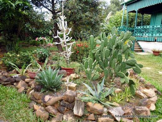 Greenhouse Guesthouse in Kampot, Cambodia.