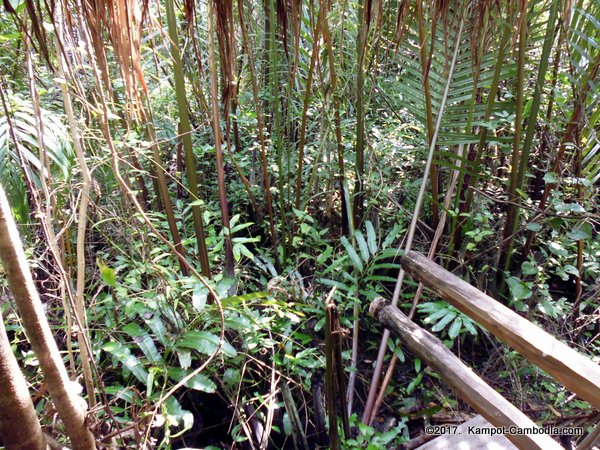 Sambo Preychark Natural Park in Kampot, Cambodia.