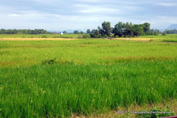 Train service from Kampot to SihanoukVille and Phnom Penh, Cambodia.