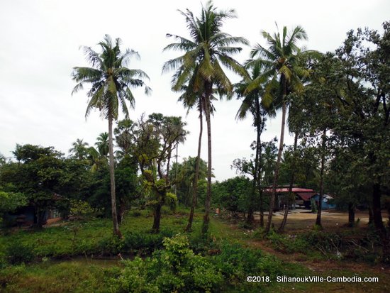 Train service from Kampot to SihanoukVille and Phnom Penh, Cambodia.