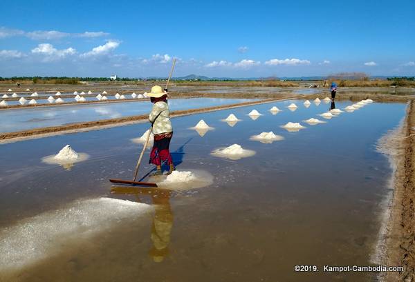 The Salt Fields of Kampot, Cambodia.