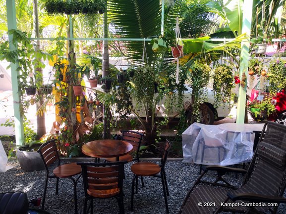 The Cacti and Planti Coffee Shop and Nusery in Kampot, Cambodia.