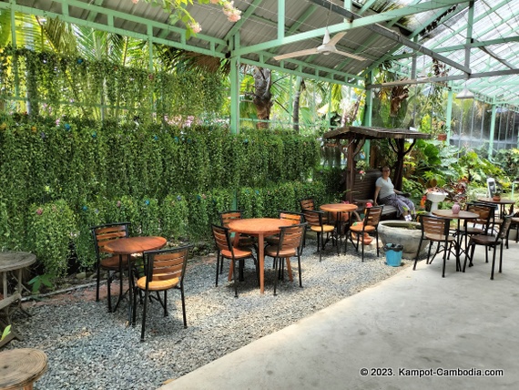The Cacti and Planti Coffee Shop and Nusery in Kampot, Cambodia.