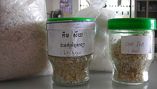 vials of Kampot Salt for testing at the Salt Institute