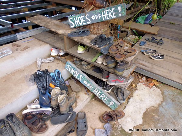 High Tide Riverside Dog Sanctury and Cafe in Kampot, Cambodia