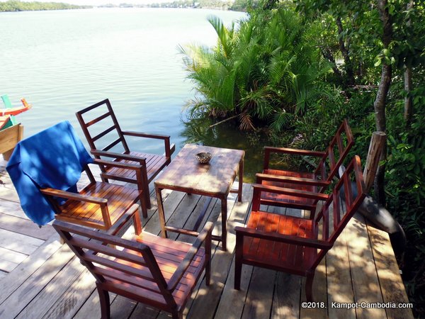 High Tide Riverside Dog Sanctury and Cafe in Kampot, Cambodia