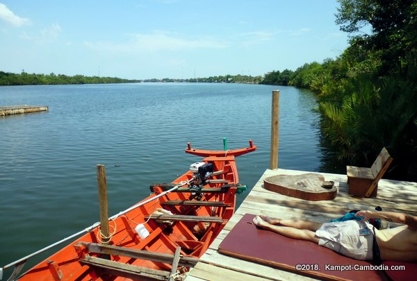 High Tide Riverside Dog Sanctury and Cafe in Kampot, Cambodia