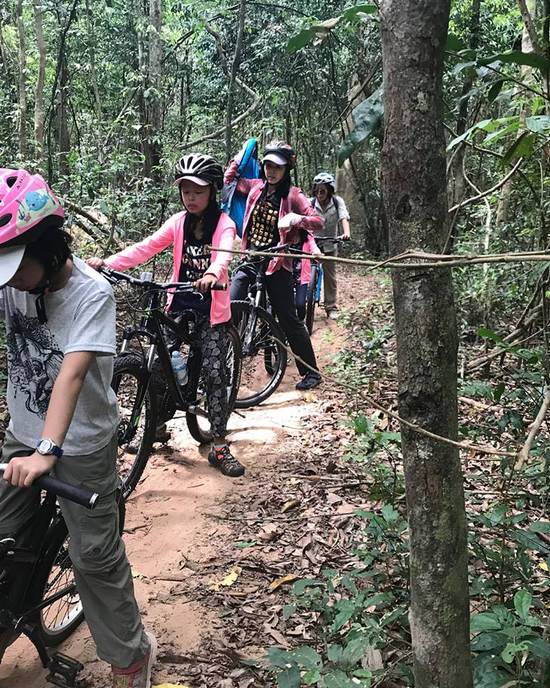 Butterfly Tours in Kampot, Cambodia.