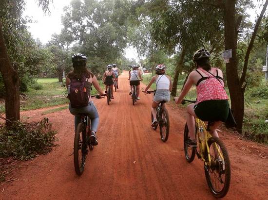 Butterfly Tours in Kampot, Cambodia.