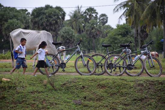 Butterfly Tours in Kampot, Cambodia.