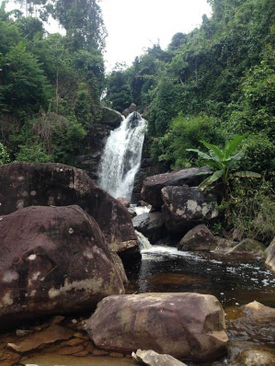 Butterfly Tours in Kampot, Cambodia.