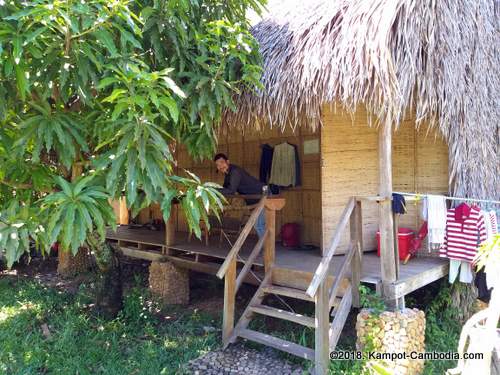 The Plantation in Kampot, Cambodia.  Music Nightly, Bar, Bungalows, Accommodation.