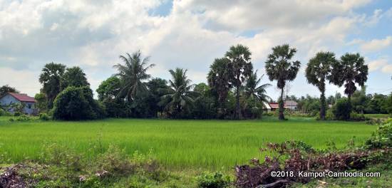 Easy Panda Hostel in Kampot, Cambodia.  Guesthouse and Bar.