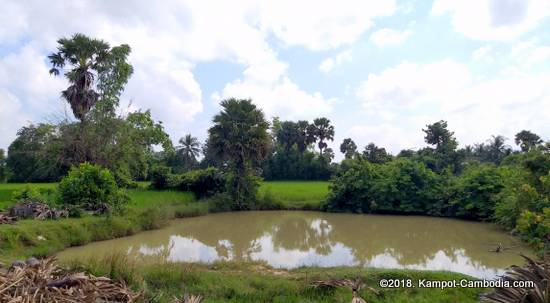 Easy Panda Hostel in Kampot, Cambodia.  Guesthouse and Bar.