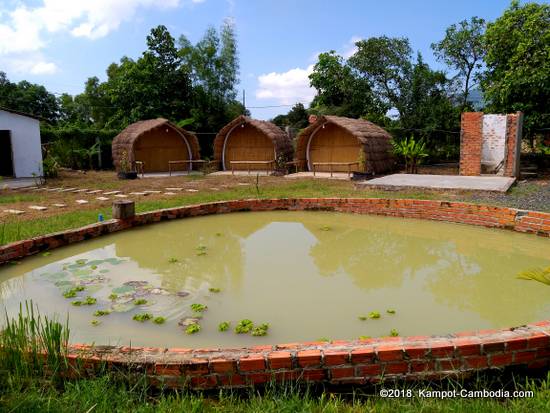 Easy Panda Hostel in Kampot, Cambodia.  Guesthouse and Bar.