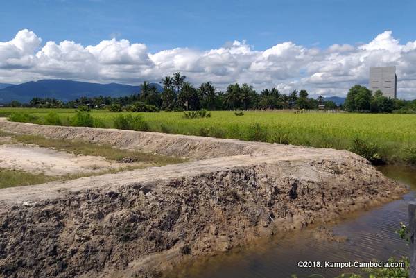 Ela Guesthouse Glamping in Kampot, Cambodia.  Fish Island.