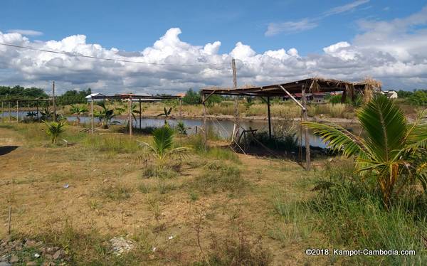 Ela Guesthouse Glamping in Kampot, Cambodia.  Fish Island.