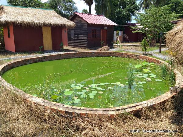 Easy Panda Hostel in Kampot, Cambodia.  Guesthouse and Bar.