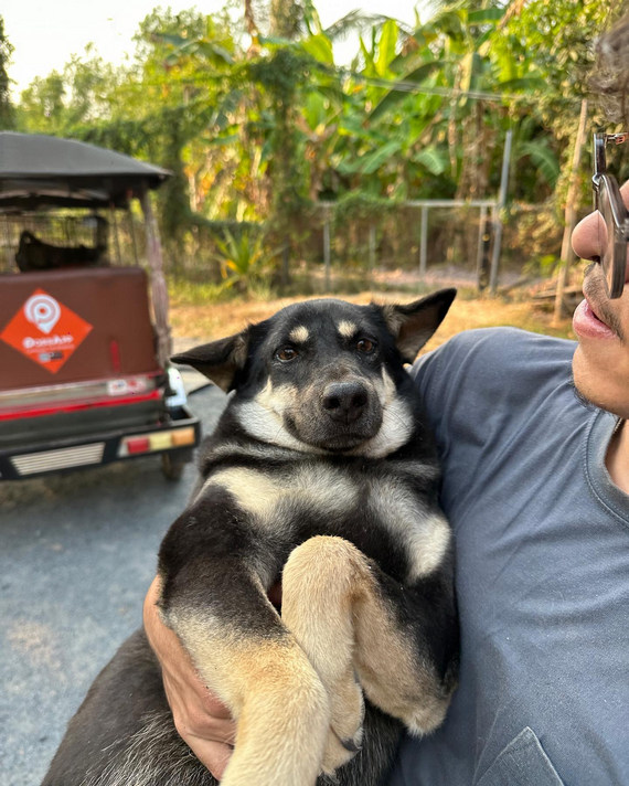 High Tide Riverside Dog Sanctury and Cafe in Kampot, Cambodia