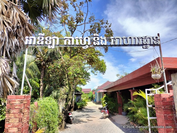 Adila Coffee in Kampot, Cambodia.  Fish Island.