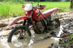 dirt-bike-tours-kampot15