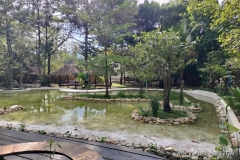 IMG20250403154554