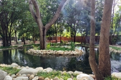 IMG20250403154712