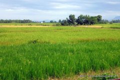 train-to-kampot27-1