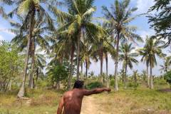 kampot-beach-fish-island-2