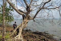 kampot-beach-fish-island-9