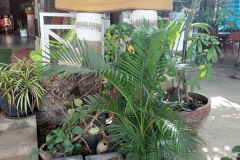IMG20250318092217