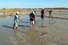 salt-fields-kampot-1