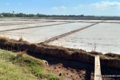 salt-fields-kampot-2