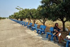 bench-wat-kampot-7