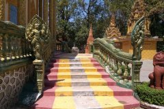 fish-island-wat-kampot-11