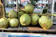 white-tent-street-food-kampot-32