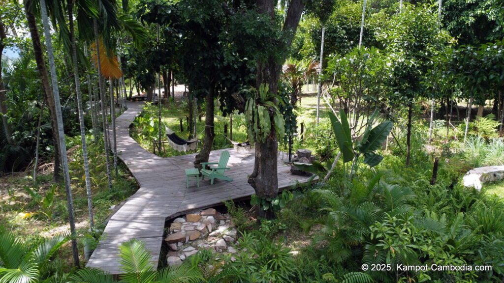 daya villa in kampot cambodia