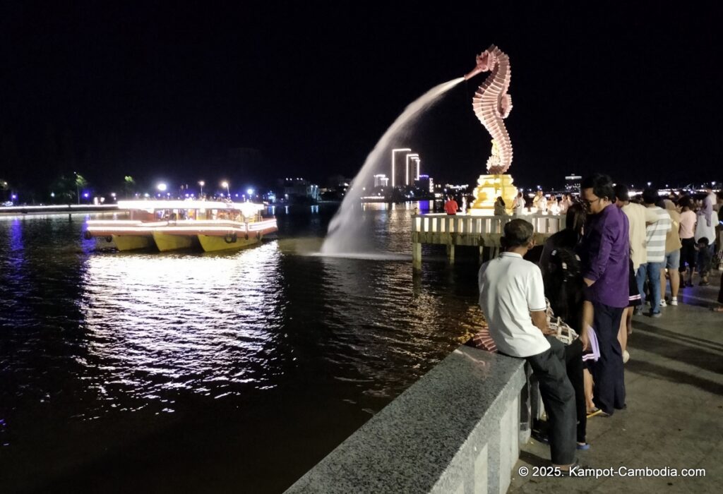 magic seahorse on the kampot river in cambodia