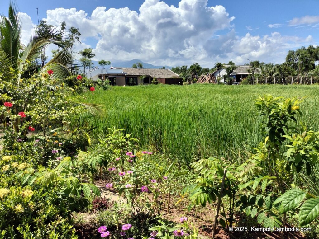 komsan resort on fish island in kampot, cambodia