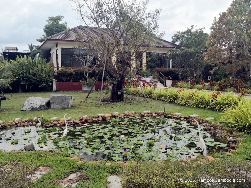 lodge moni essara in kampot cambodia