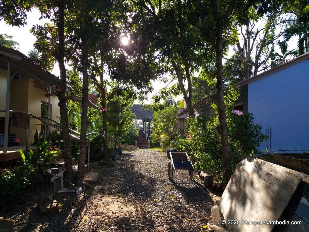 green mango bungalow in kampot cambodia