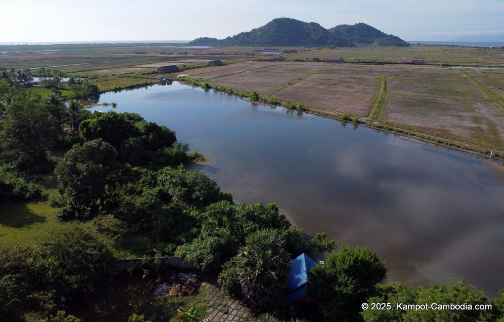 Kampheak Roath Treuy Koh Bungalows in kampot cambodia fish island